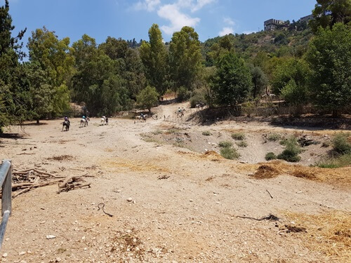 חוות סוסים נוף הרים בגליל